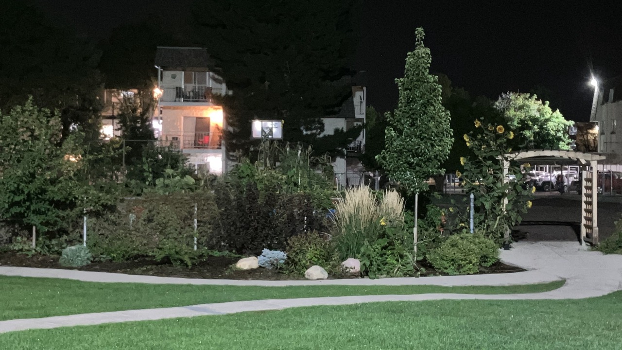 Photo of Outdoor in Goldsmith