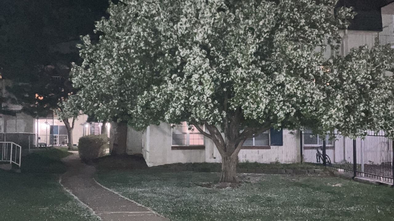 Photo of Outdoor in Goldsmith