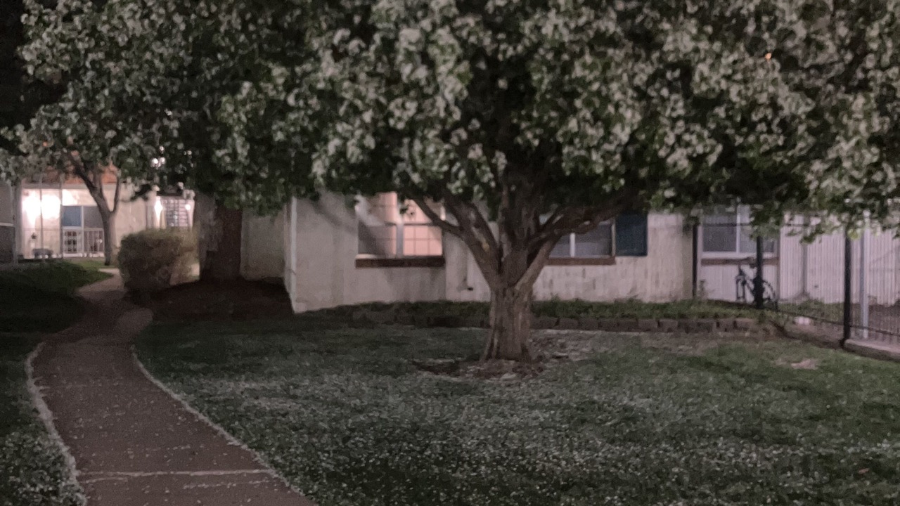 Photo of Outdoor in Goldsmith