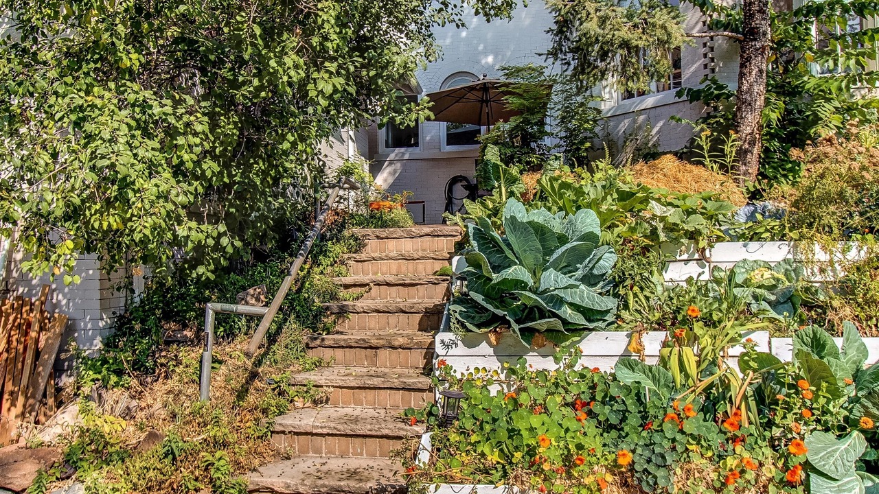 Photo of Outdoor in Alamo Placita