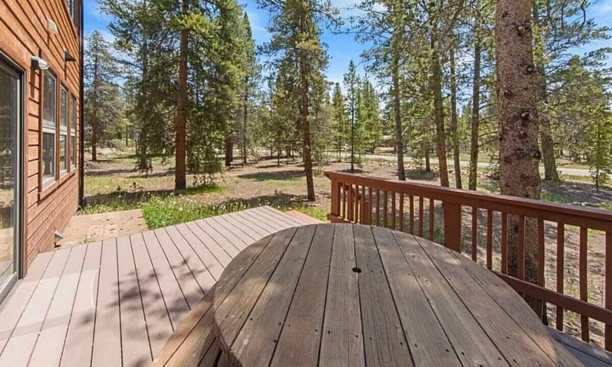 Photo of Others in Leadville North