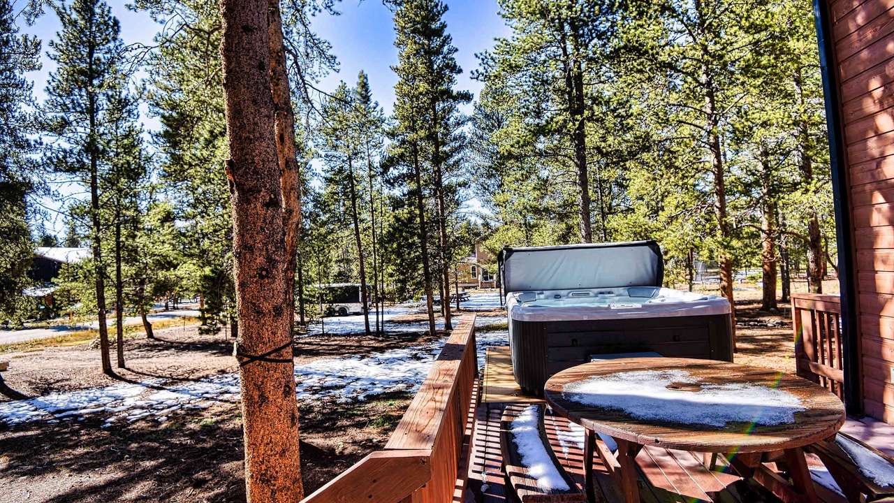 Photo of Others in Leadville North