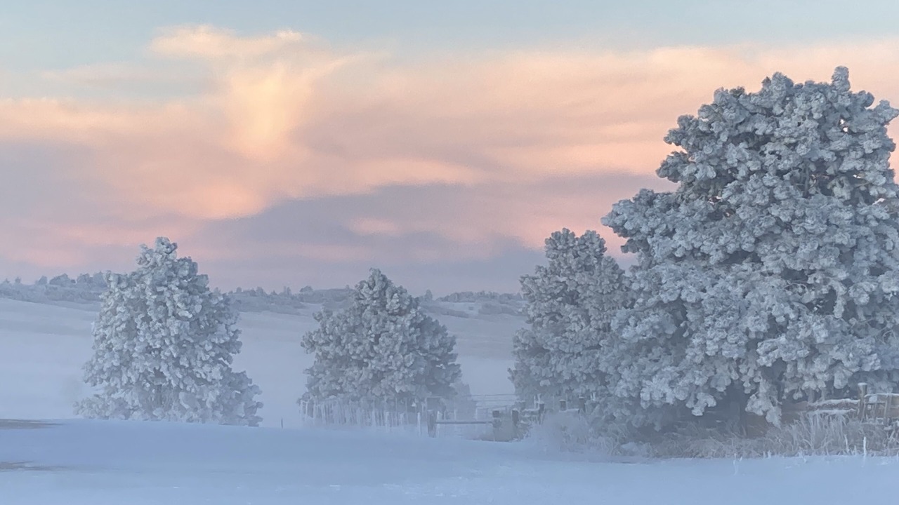 Photo of Outdoor in Larkspur