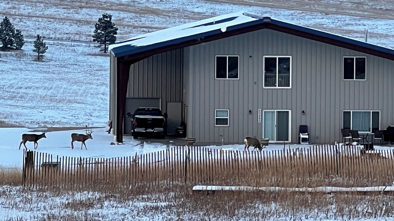 Photo of Outdoor in Larkspur