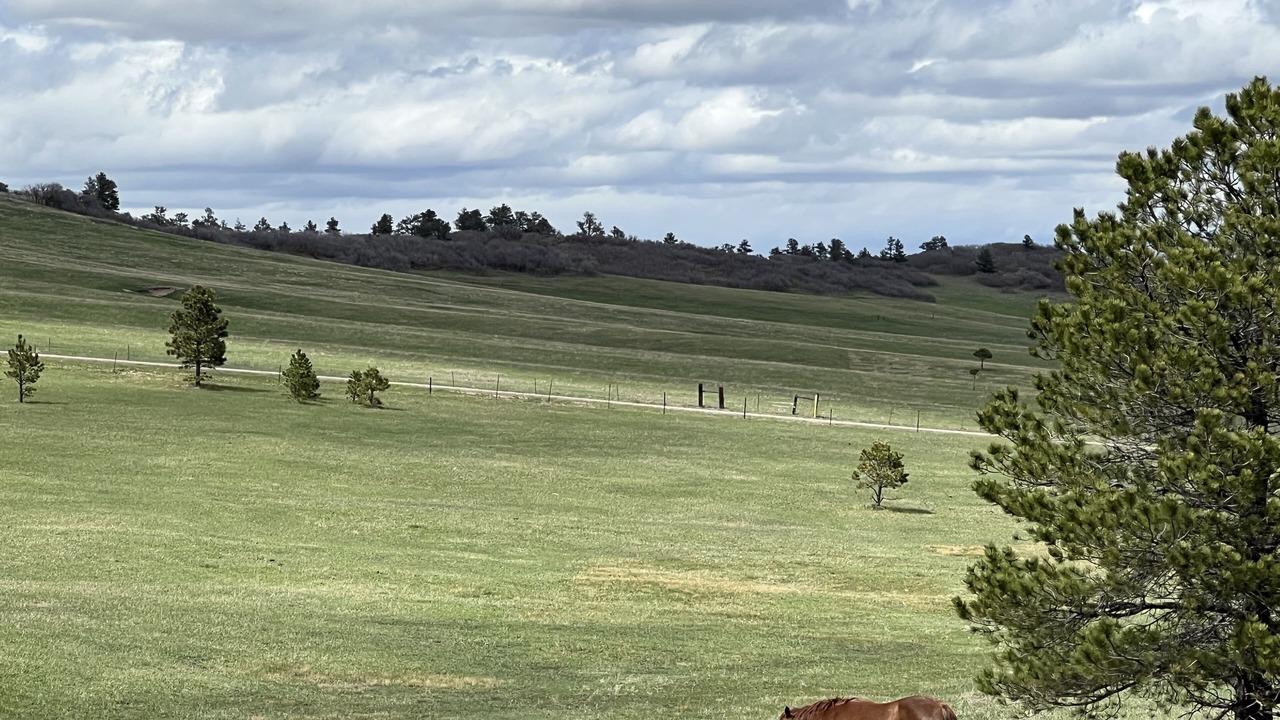Photo of Others in Larkspur