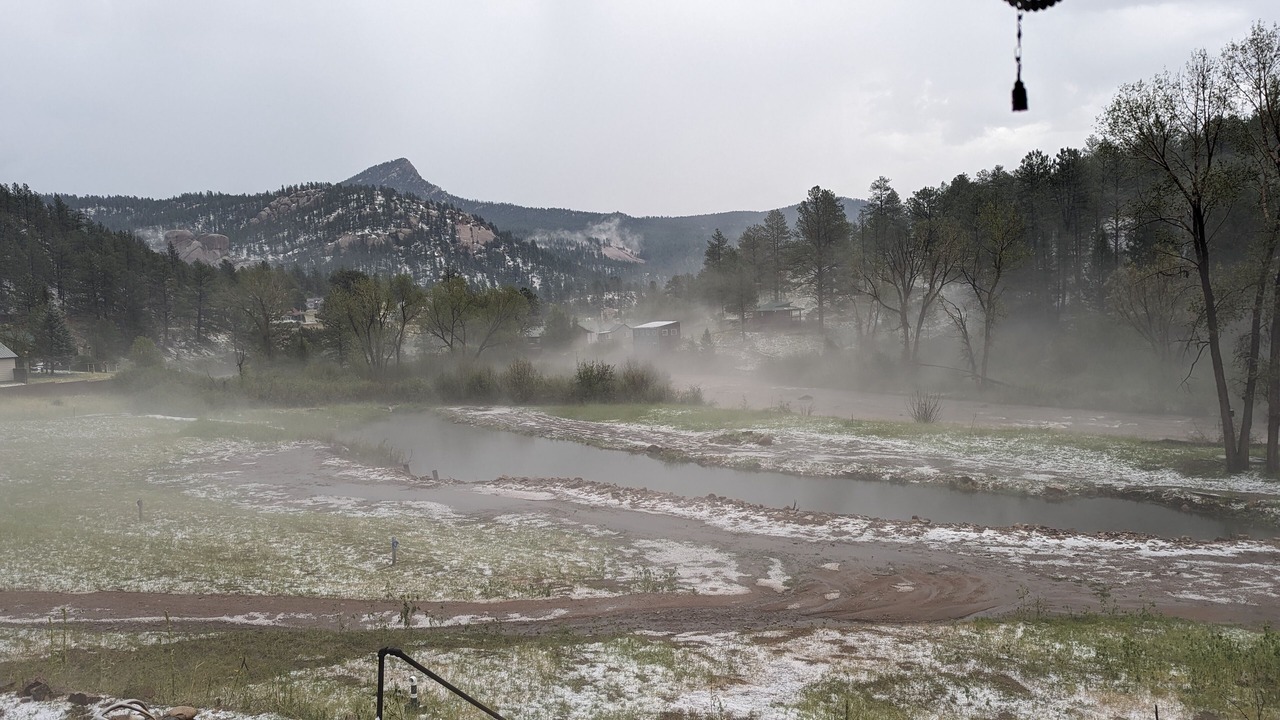 Photo of Outdoor in Pine