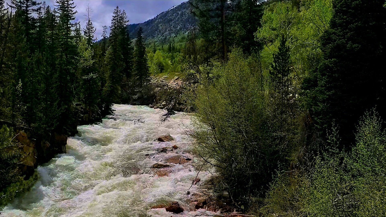 Photo of Others in Twin Lakes