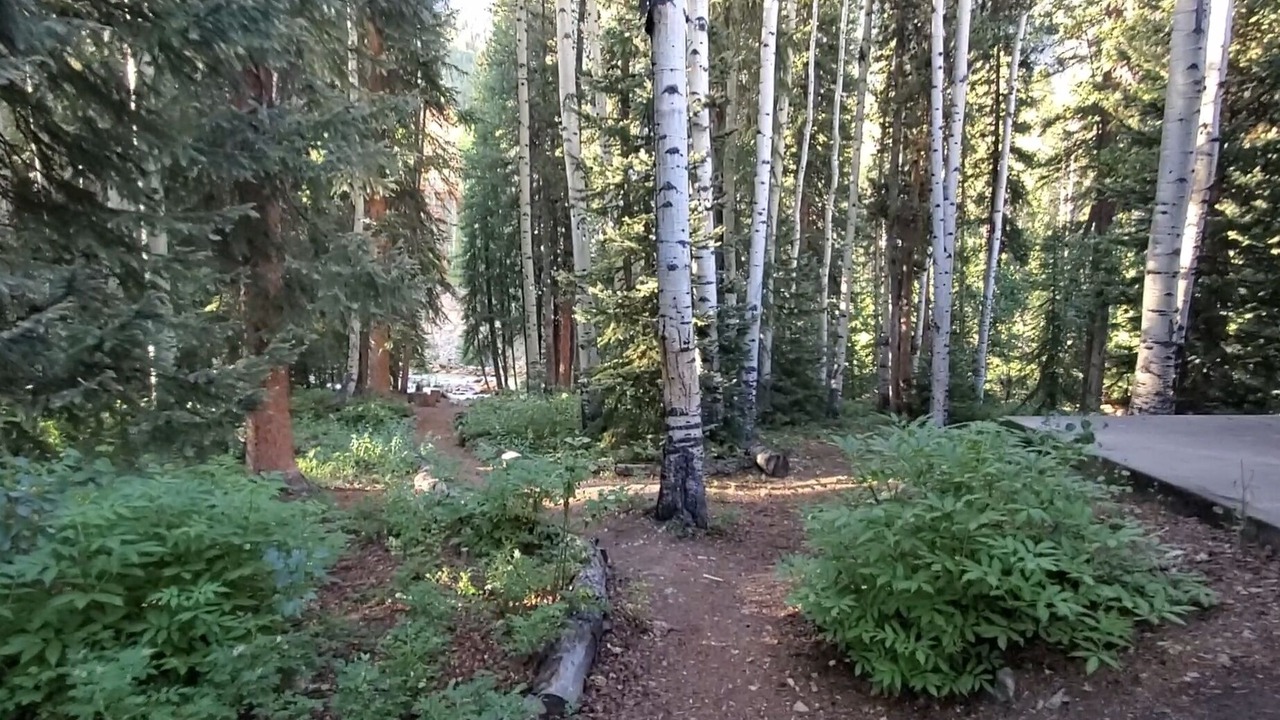 Photo of Outdoor in Twin Lakes