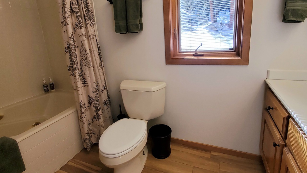 Photo of Bathroom in Twin Lakes