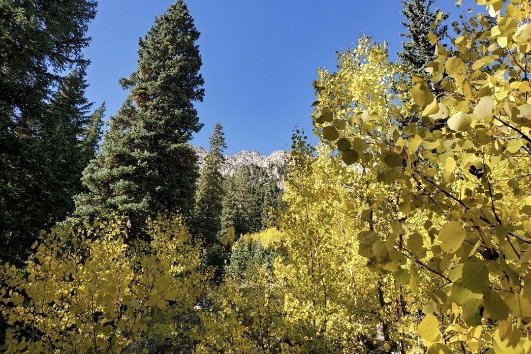 Photo of Outdoor in Twin Lakes