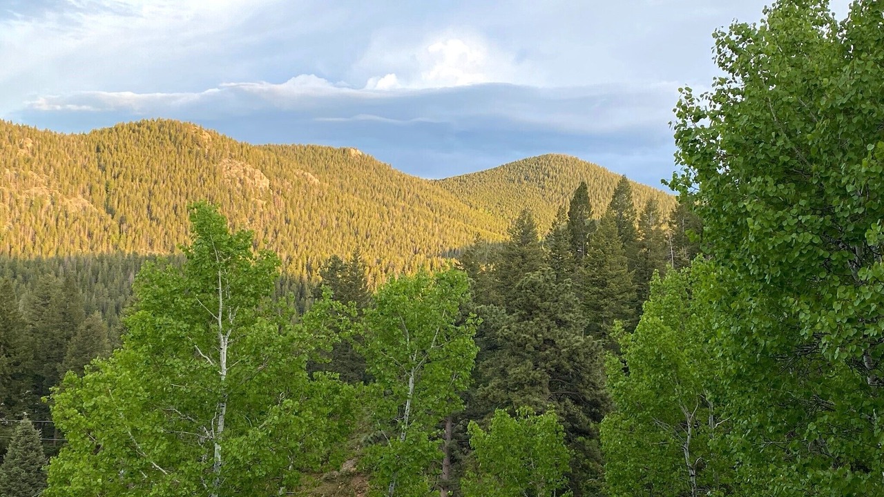 Photo of Others in Shadow Mountain