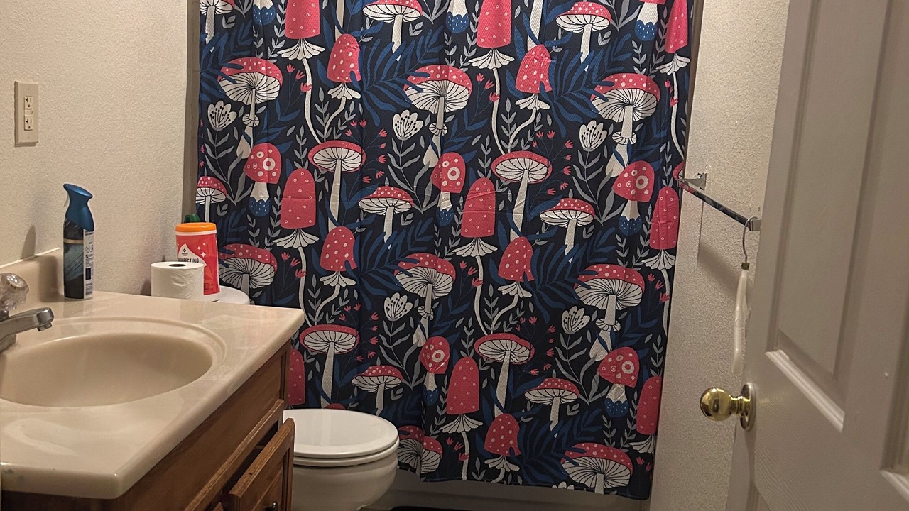 Photo of Bathroom in Seven Hills