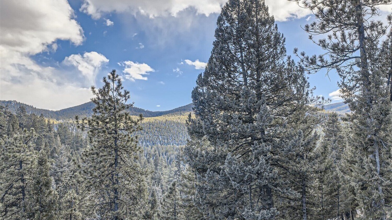 Photo of Outdoor in Shadow Mountain