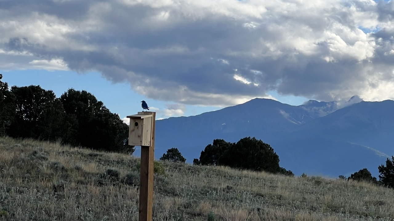 Photo of Others in Westcliffe