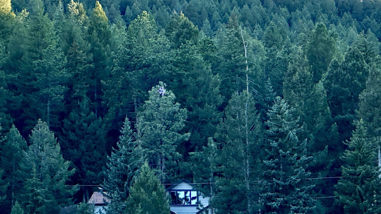 Photo of Outdoor in Morrison