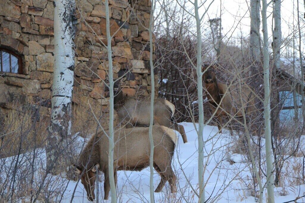 Photo of Outdoor in Edwards
