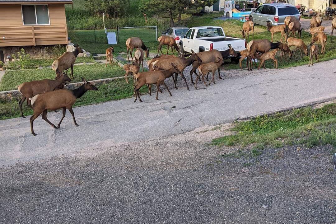 Photo of Others in Denver