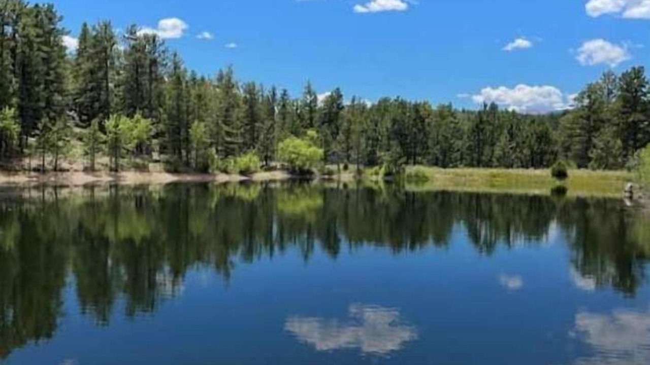 Photo of Outdoor in Red Feather Lakes