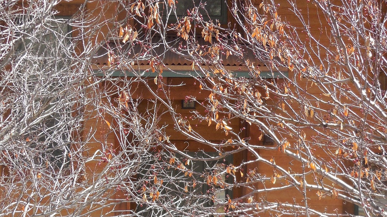 Photo of Outdoor in Intermountain