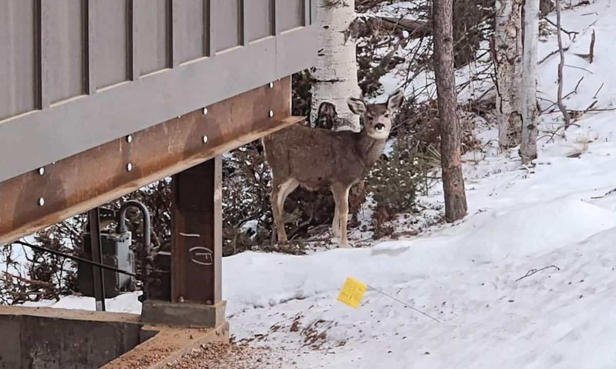 Photo of Outdoor in Spring Valley