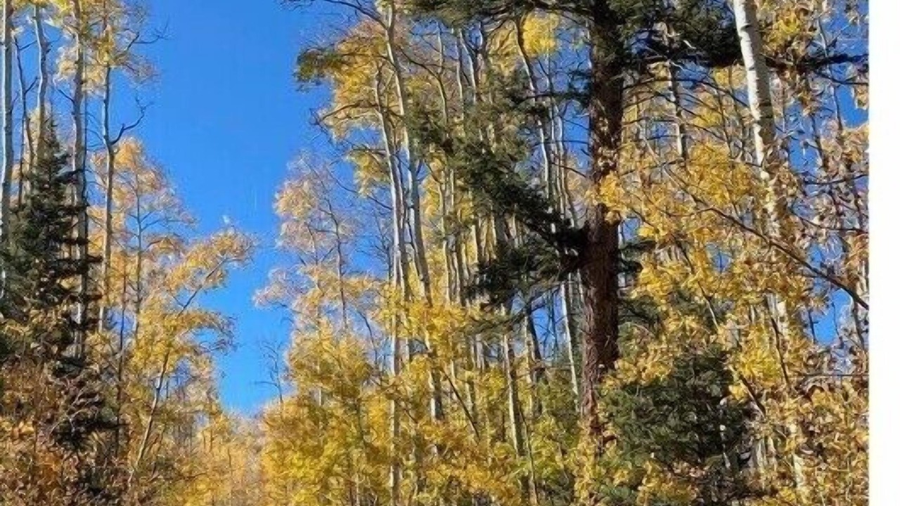 Photo of Outdoor in Buena Vista