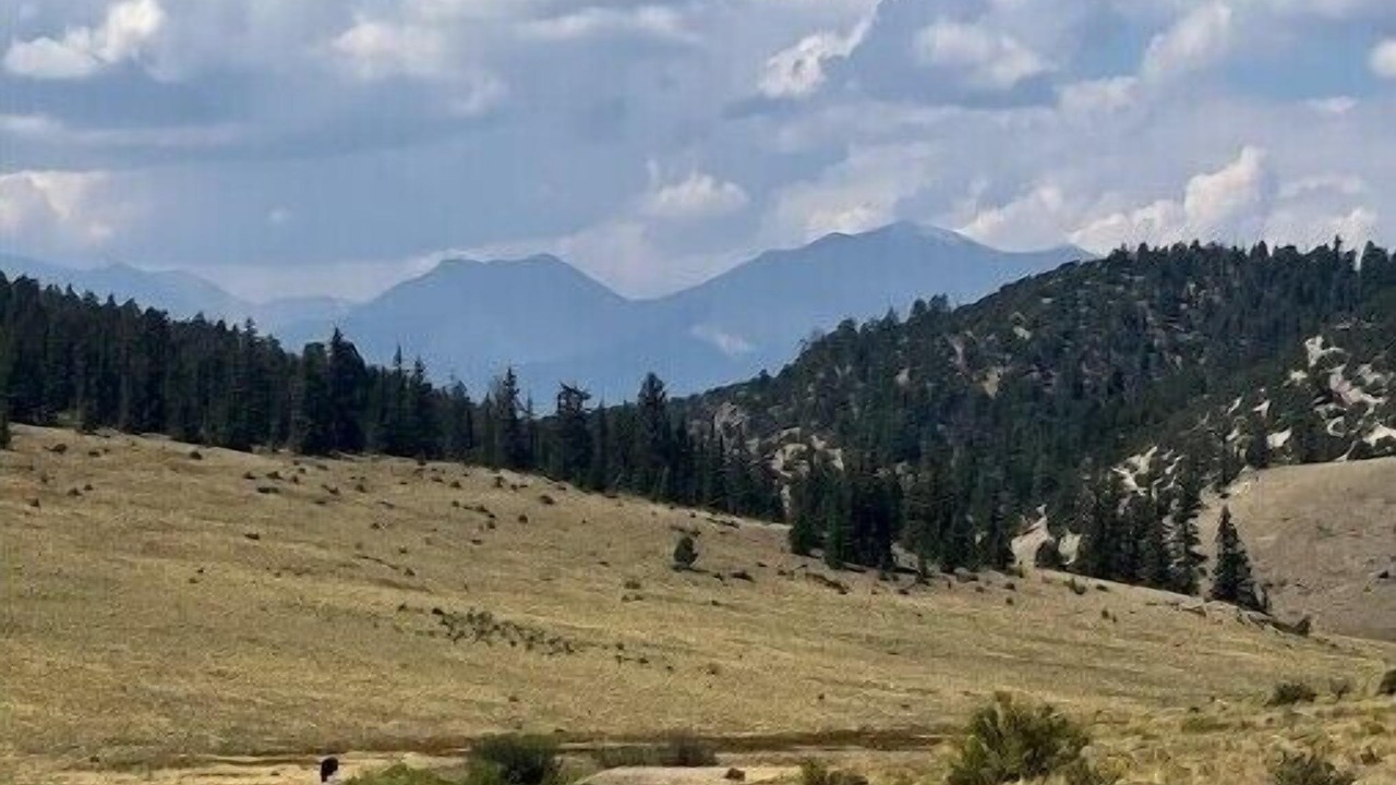 Photo of Others in Buena Vista