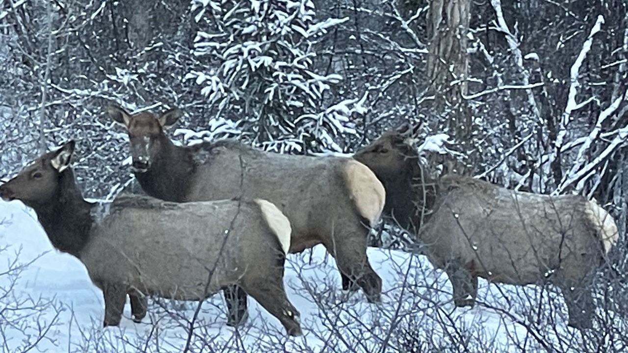 Photo of Others in Aspen