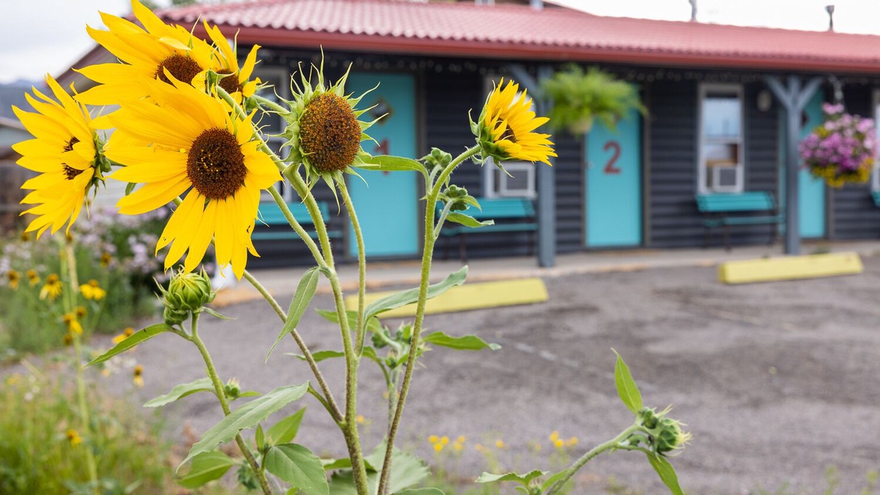 Photo of Outdoor in Salida