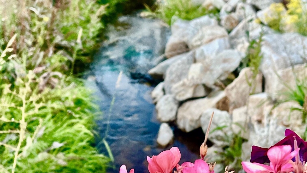 Photo of Outdoor in Salida