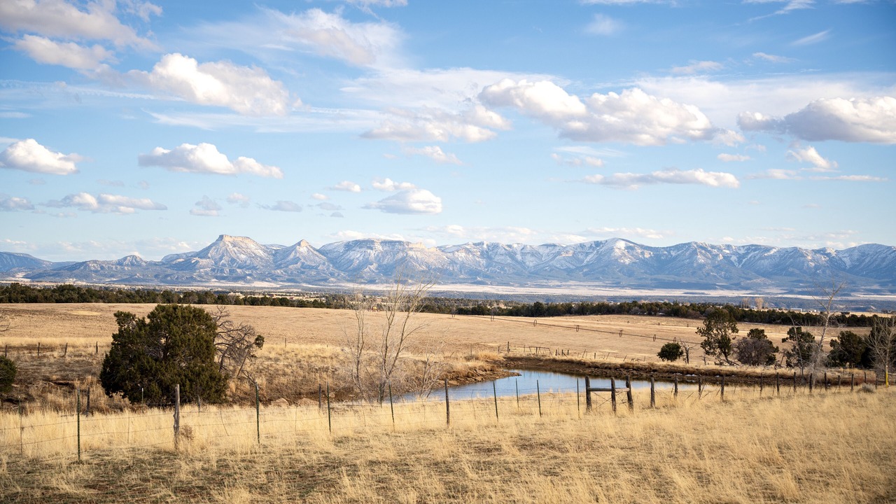 Photo of Others in Cortez