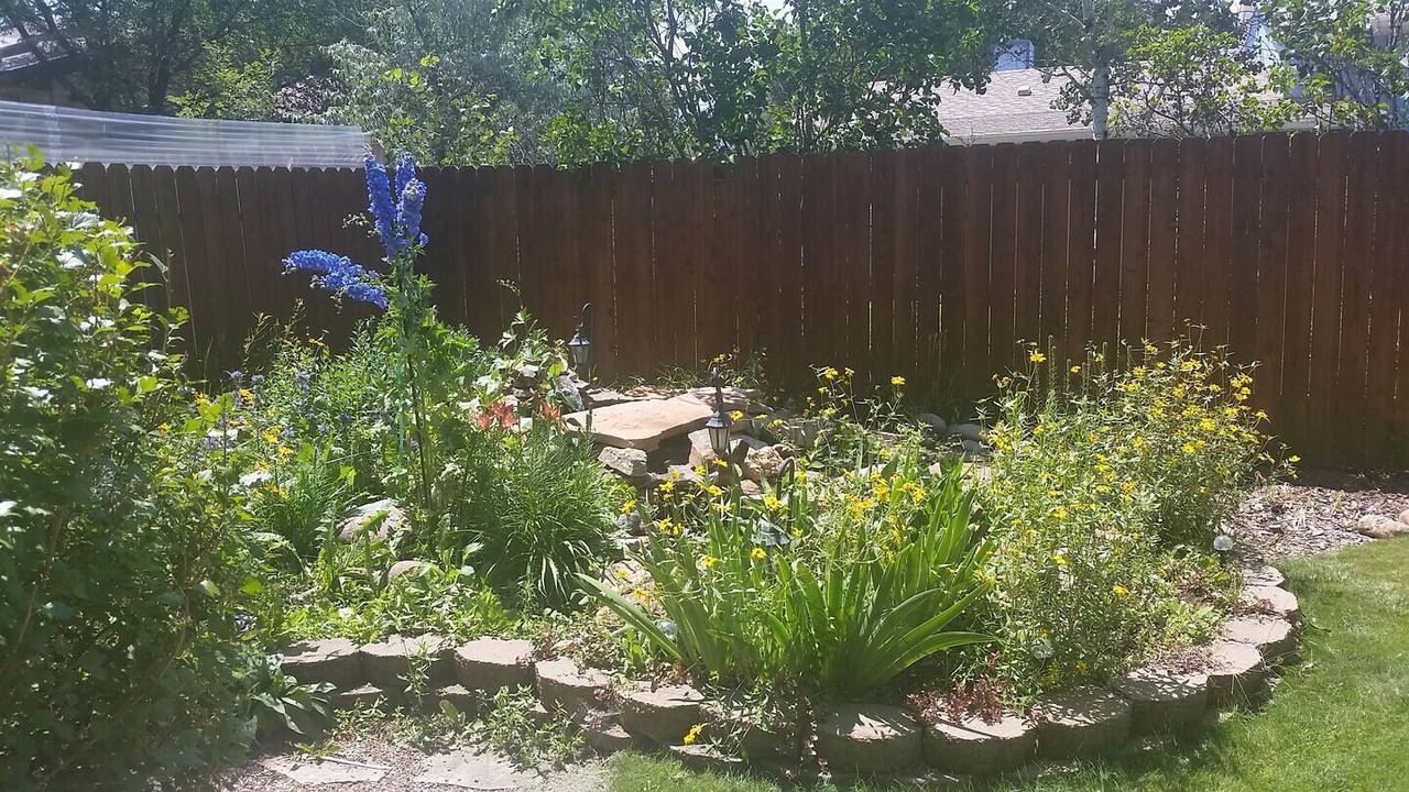 Photo of Outdoor in Carbondale