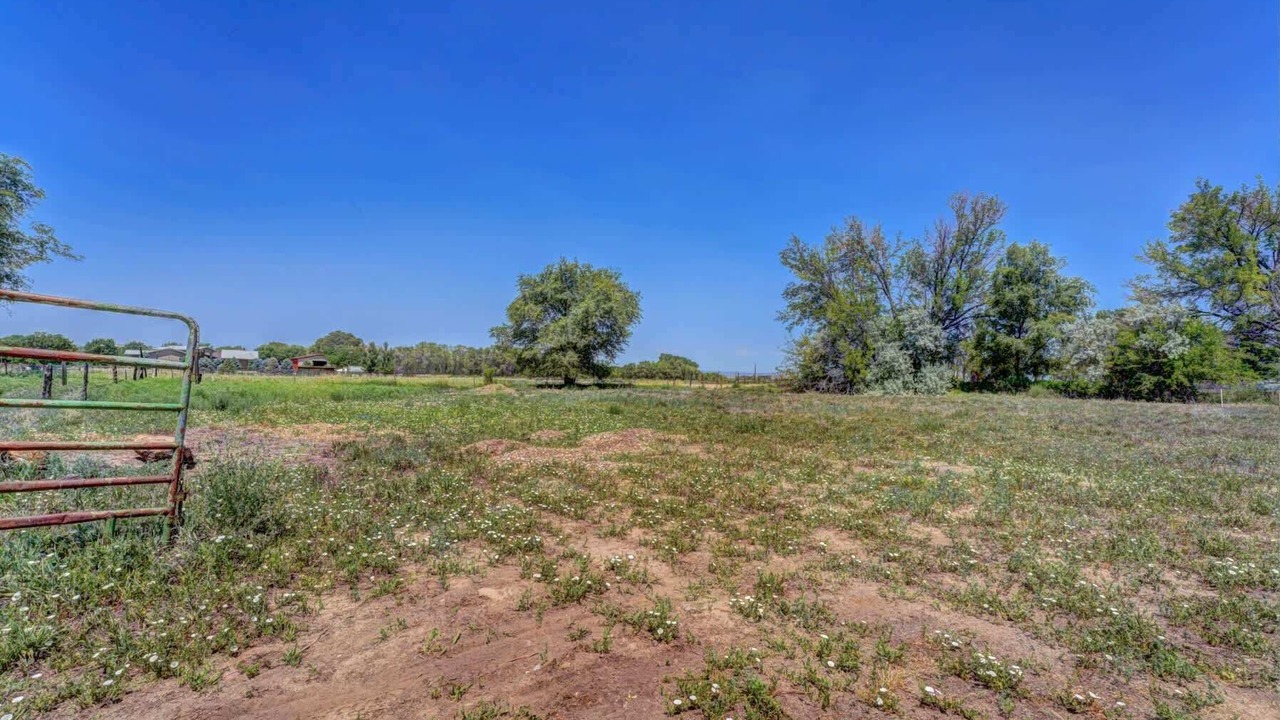 Photo of Others in Fruita
