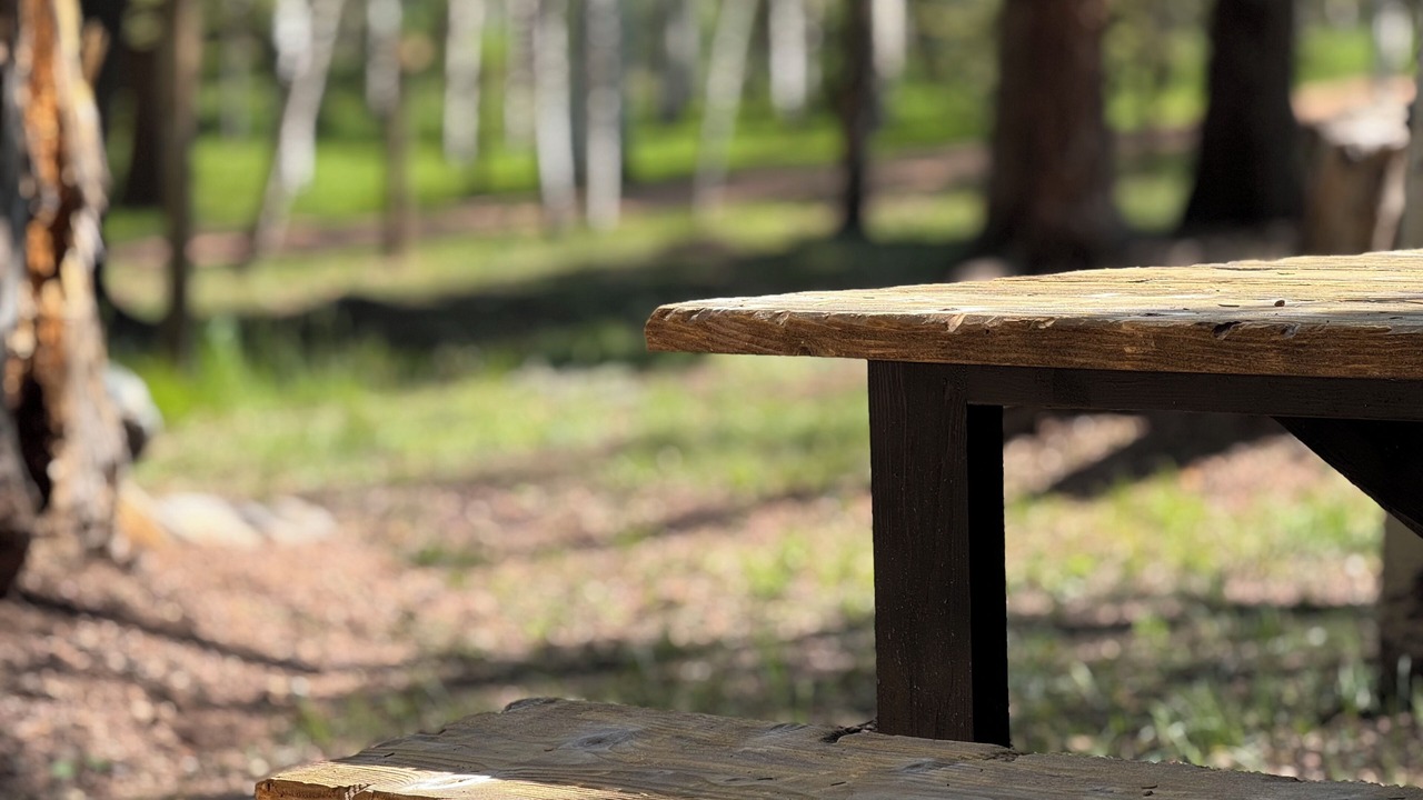 Photo of Outdoor in Divide