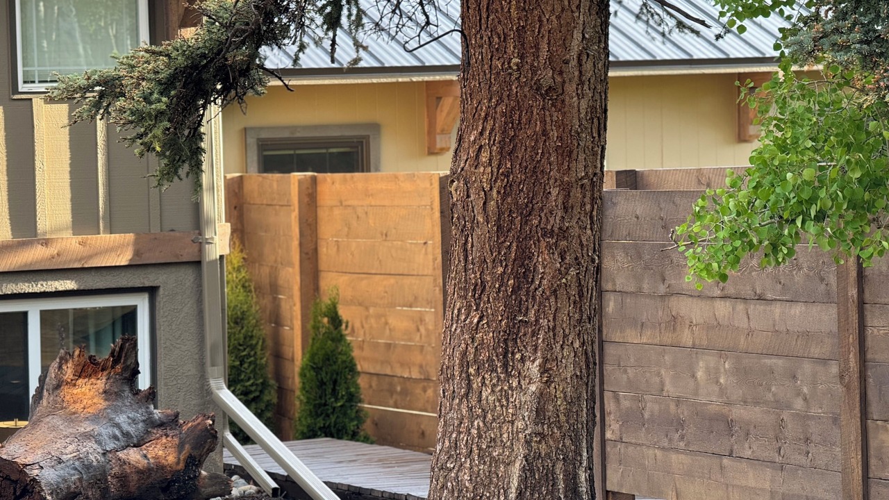 Photo of Outdoor in Divide