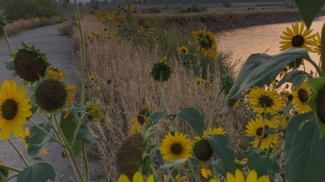 Photo of Outdoor in Longmont