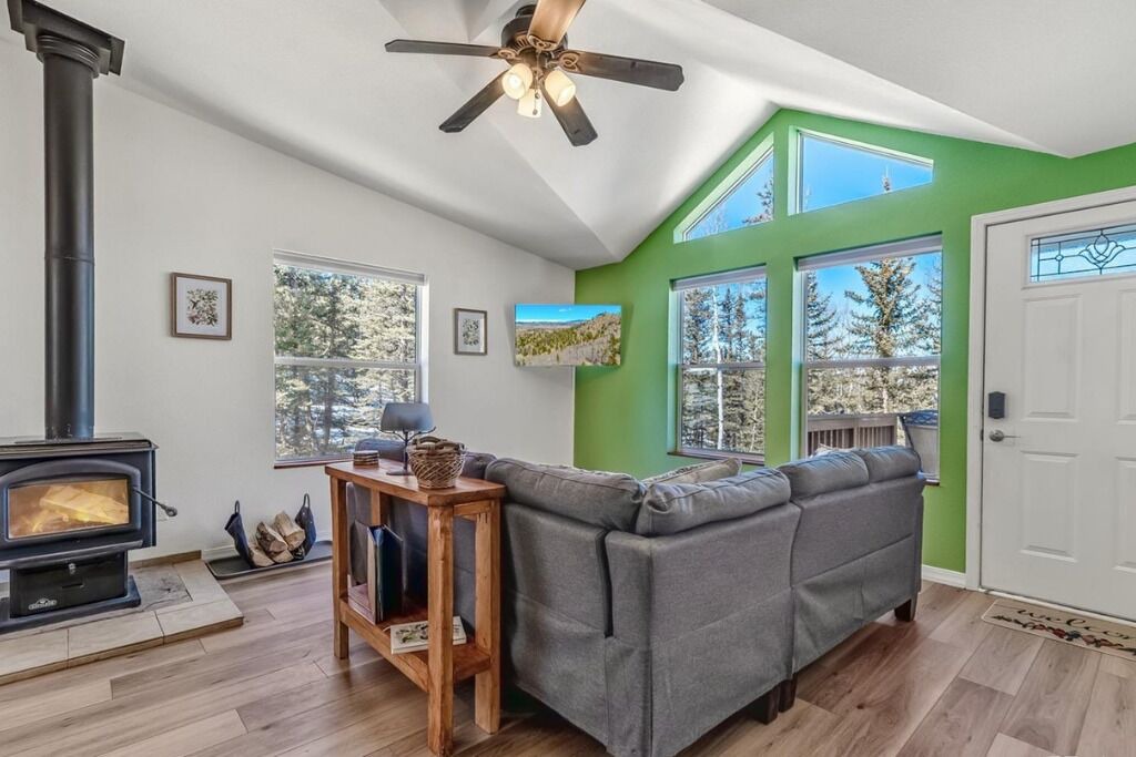 Photo of Livingroom in Indian Mountain