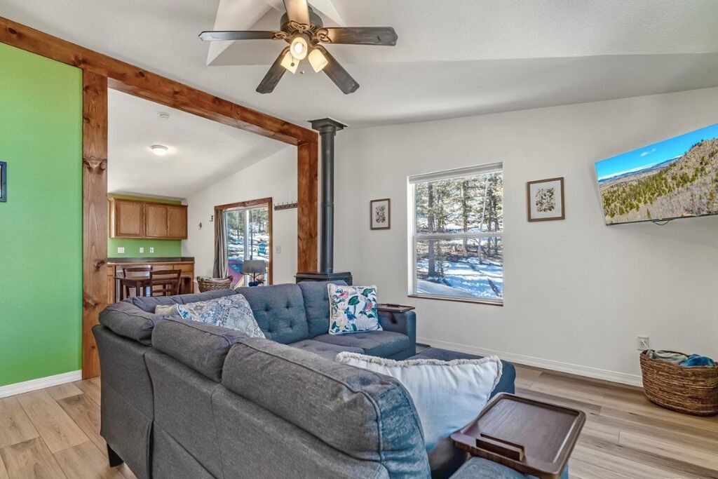 Photo of Livingroom in Indian Mountain
