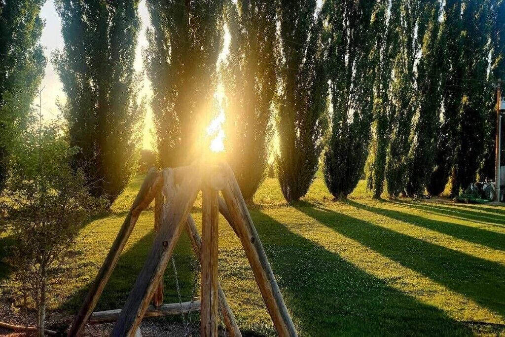 Photo of Outdoor in Lazear