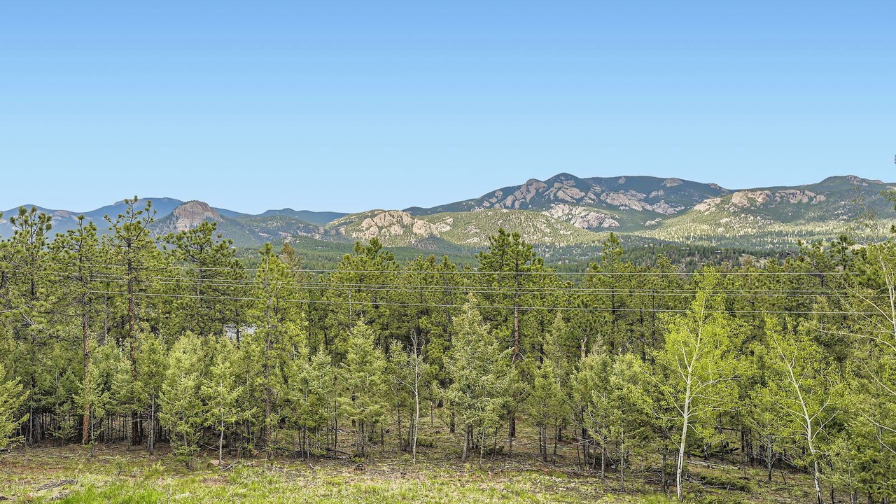 Photo of Others in Pine