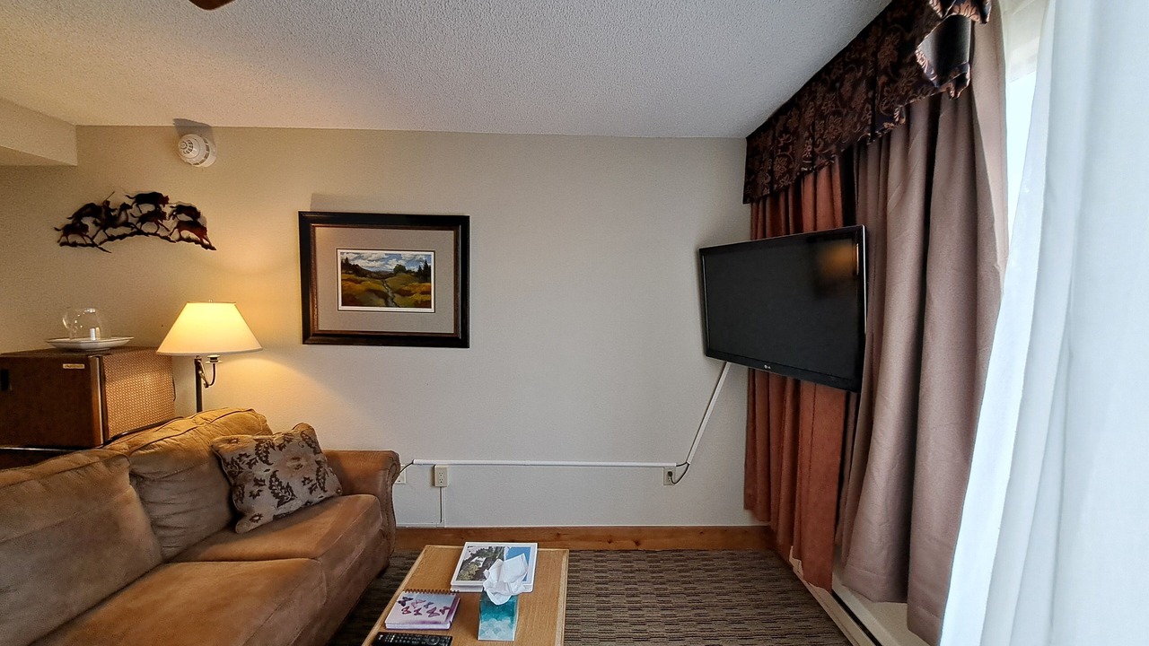 Photo of Livingroom in Crested Butte