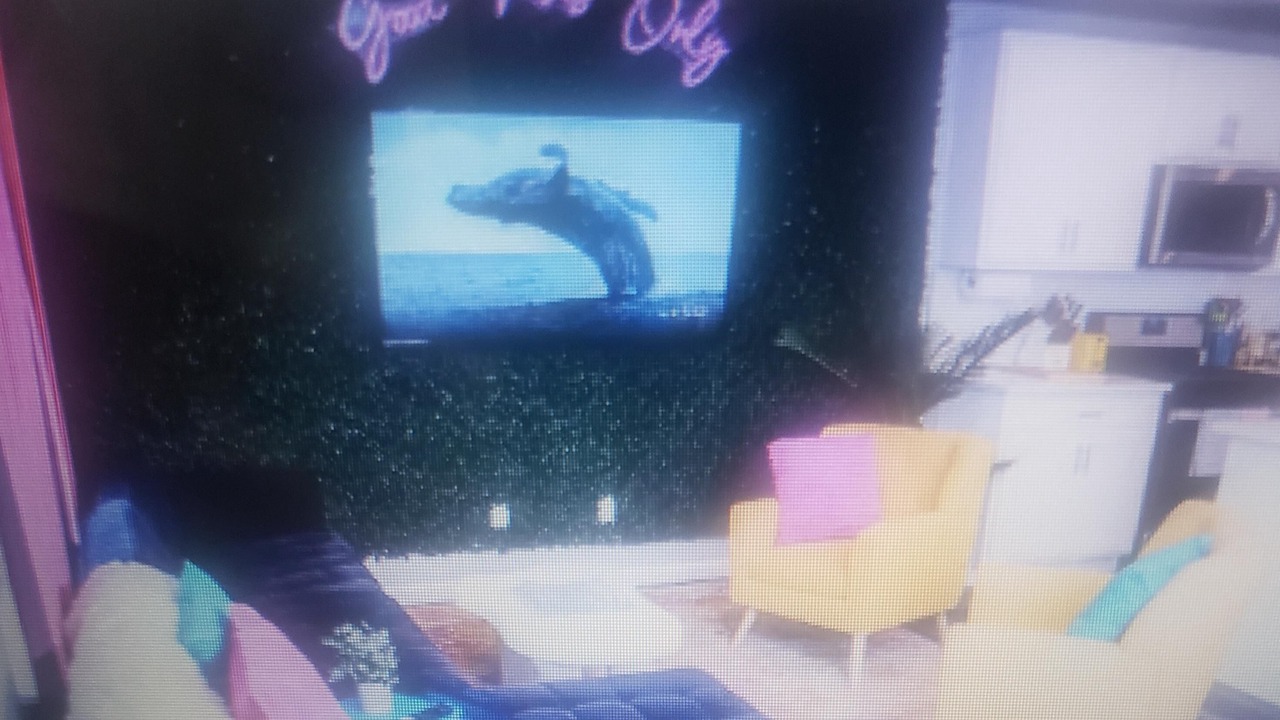 Photo of Livingroom in Dupont