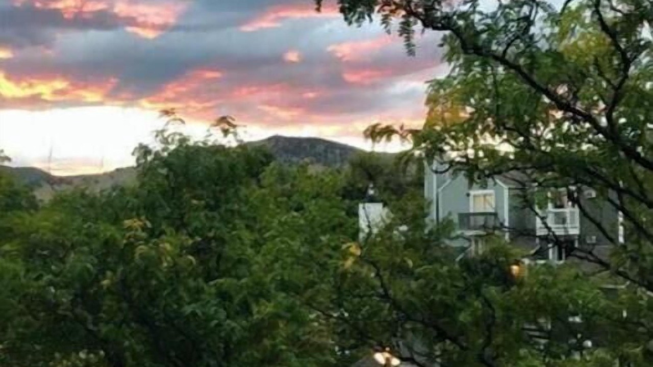 Photo of Others in Panorama Heights