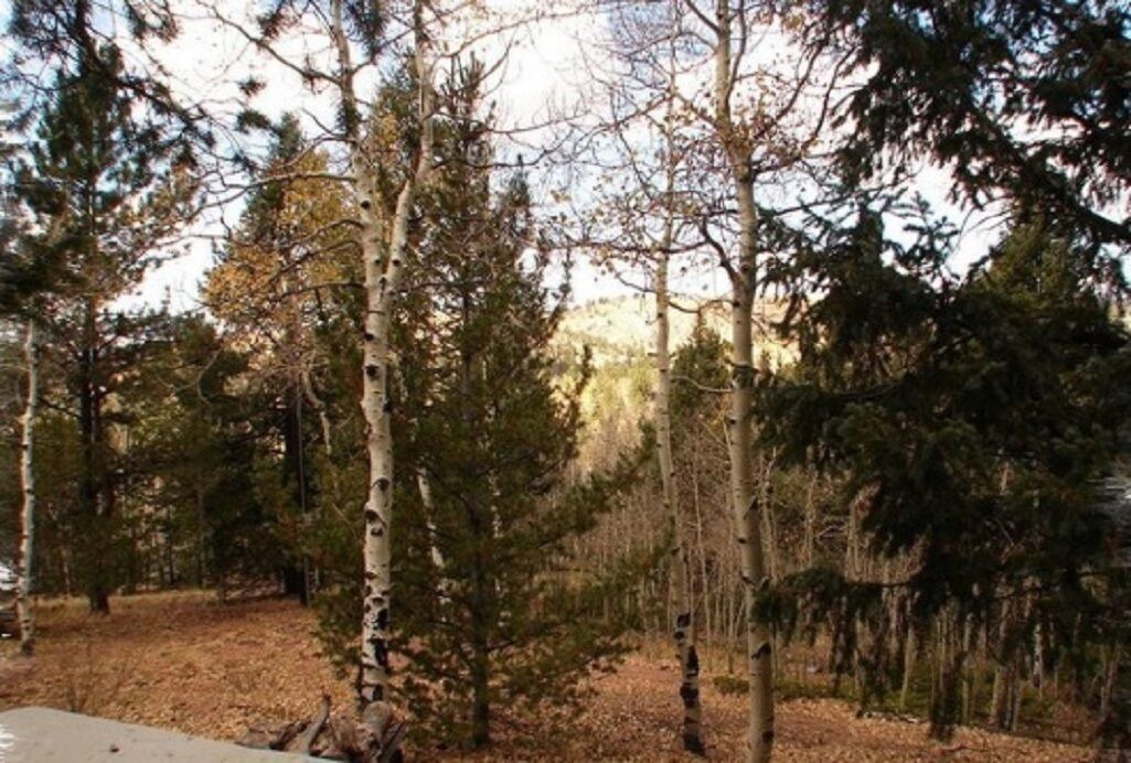 Photo of Others in Cripple Creek