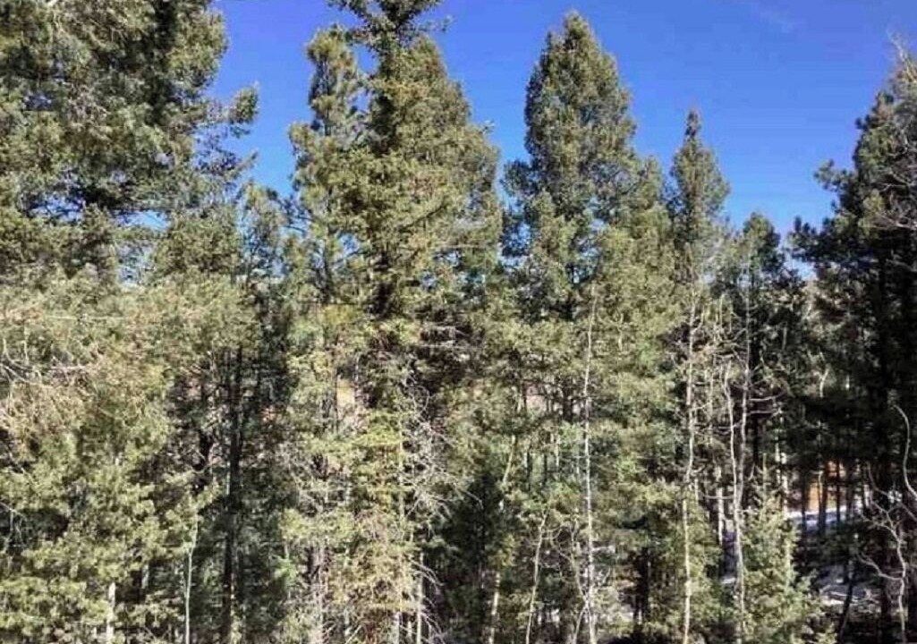 Photo of Others in Cripple Creek
