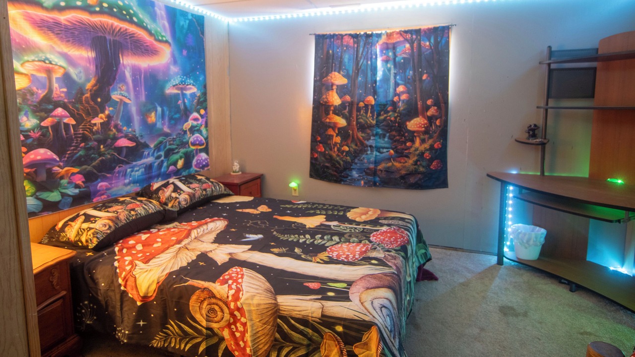 Photo of Bedroom in Divide
