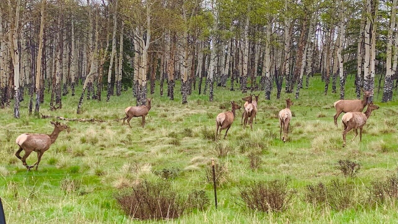 Photo of Others in Spring Valley