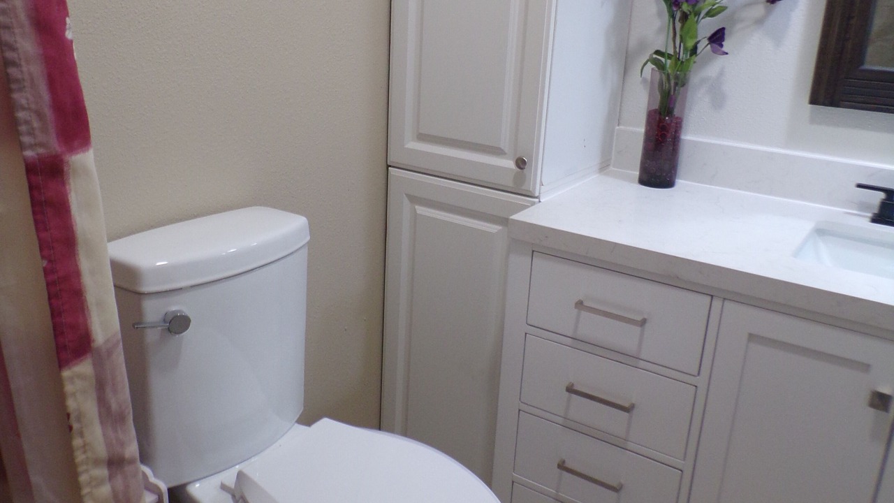 Photo of Bathroom in Skyway