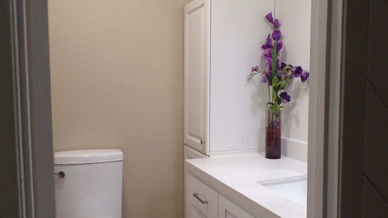 Photo of Bathroom in Skyway