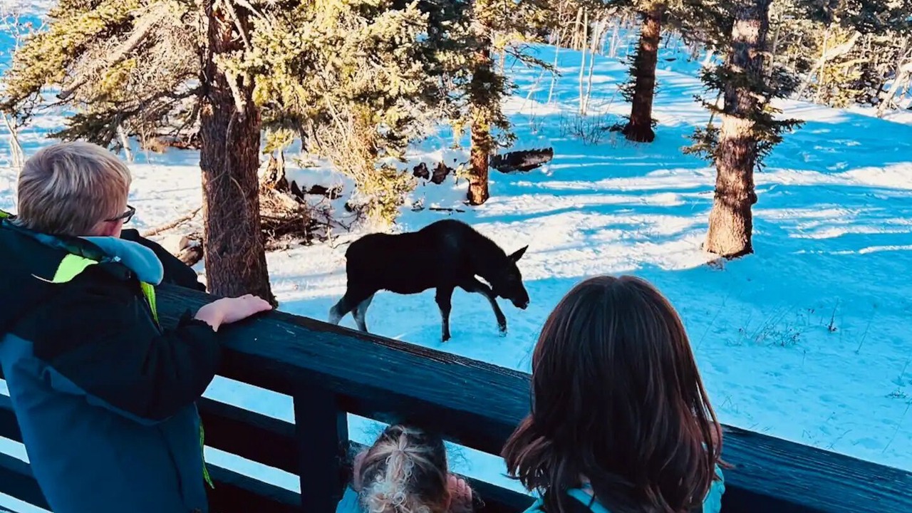 Photo of Others in Warm Springs