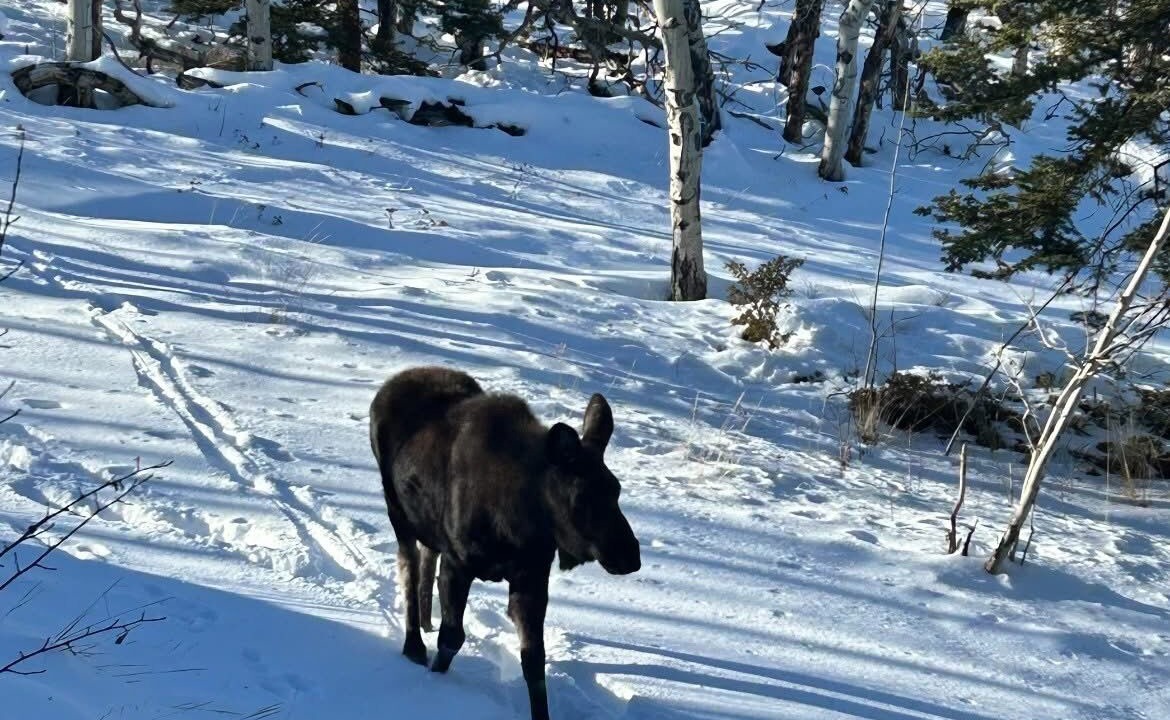 Photo of Others in Warm Springs